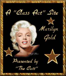 Specialty Gold 18/2/2003