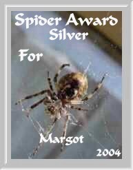Spider Award 21/6/2004