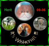Wishcraft 30/11/2009