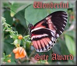 Wonderful Award 17/4/2003