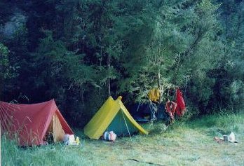 Campsite